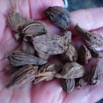 cardamomo negro